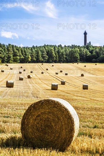 Straw bales in the Scottish fields, Southeast Scotland, UK