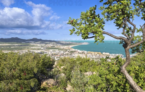 Scenic panoramic aerial view of Cabo San Lucas marina and El Medano beach from the lookout of Cerro de la Z observatory hill