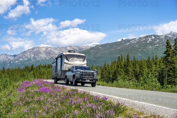 Off-road vehicle with caravan on highway, road through taiga and mountain landscape with purple flowers, picturesque landscape on Richardson Highway, Alaska, USA