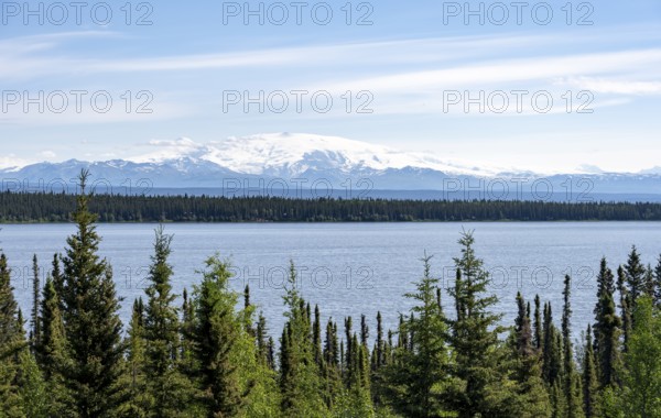 Lake Willow Lake, taiga landscape with high glaciated mountain peak Mount Wrangell, Wrangell Mountains, Alaska, USA