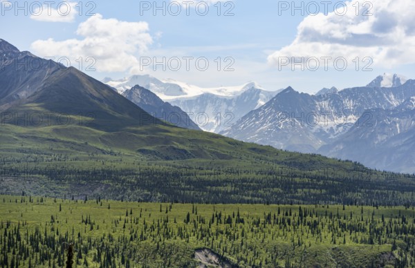 Taiga and tundra in front of mountain landscape, picturesque landscape with icy mountain peaks, Glenn Highway, Alaska, USA