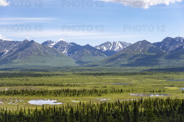 Taiga and tundra in front of mountain landscape, picturesque landscape, Glenn Highway, Alaska, USA