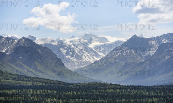 Taiga and tundra, glaciated mountain peaks at the back, Chugach Mountains, Alaska, USA
