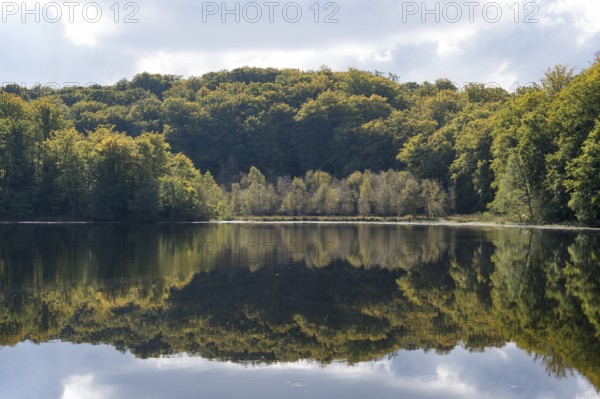 Schwarzer See, Kesselsee, reflection, Granitz Nature Reserve, Southeast Rügen Biosphere Reserve, Rügen Island, Mecklenburg-Western Pomerania, Germany
