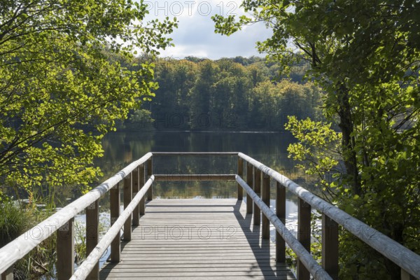 Viewing Platform, Schwarzer See, Granitz Nature Reserve, Southeast Rügen Biosphere Reserve, Rügen Island, Mecklenburg-Western Pomerania, Germany