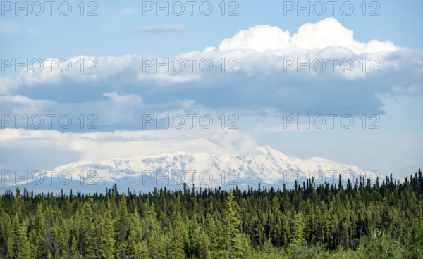 Taiga landscape with forest and high glaciated mountain peak, Wrangell Mountains, Alaska, USA