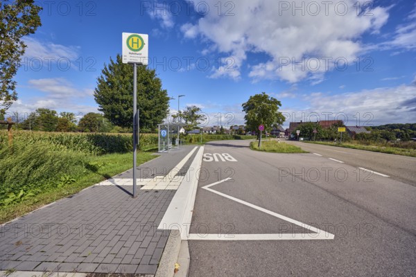 Hohnhurst bus stop, road marking BUS, town entrance, houses, corn field, trees, blue sky, cumulus clouds, altocumulus clouds, district road K5329, Hanauerlandstraße, district Hohnhurst, Kehl, Upper Rhine Plain, Ortenaukreis, Baden-Württemberg, Germany
