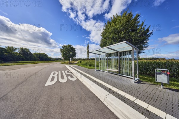 Hohnhurst bus stop, bus shelters, public trash can, road marking BUS, corn field, trees, blue sky, cumulus clouds, altocumulus clouds, district road K5329, Hanauerlandstraße, district Hohnhurst, Kehl, Upper Rhine Valley, Ortenaukreis, Baden-Württemberg, Germany