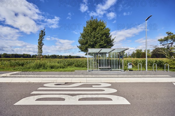 Hohnhurst bus stop, bus shelter, public trash can, lantern, road marking BUS, corn field, trees, blue sky, cumulus clouds, altocumulus clouds, district road K5329, Hanauerlandstraße, district Hohnhurst, Kehl, Upper Rhine Plain, Ortenaukreis, Baden-Württemberg, Germany