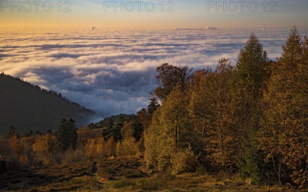 Aerial view, view from Königstuhl Heidelberg in evening light with Indian summer over autumnal fog landscape of low-hanging clouds and fog fields in inversion weather in the Upper Rhine plain, smoking chimneys sticking out of the fog, Heidelberg, Baden-Württemberg, Germany