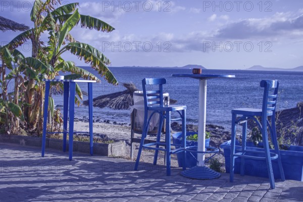 Coastal view with blue chairs and tables under palm trees on a sunny day, Playa Blanca Lanzarote