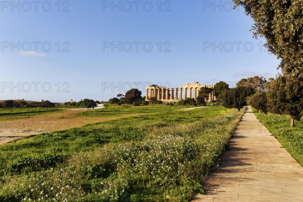 Temple E, Temple of Hera in the ancient Greek city of Selinunte, acropolis, hiking trail, archaeological site, restoration, Selinunte, Castelvetrano, Trapani, Sicily, Italy