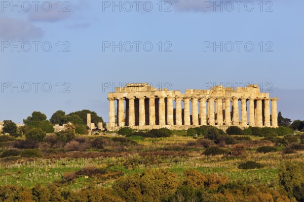 Temple E, Temple of Hera in the ancient Greek city of Selinunte, acropolis, Doric style, maquis, archaeological site, restoration, Selinunte, Castelvetrano, Trapani, Sicily, Italy