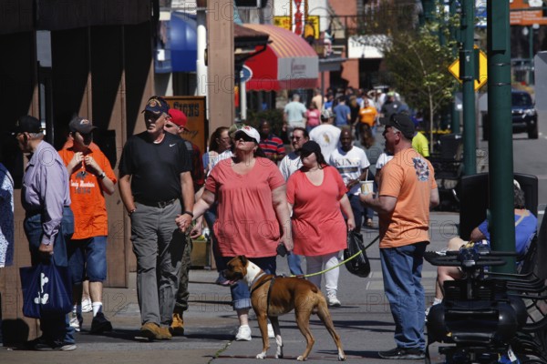 People walk a dog along Gatlinburg's busy main street, Gatlinburg, Tennessee, USA