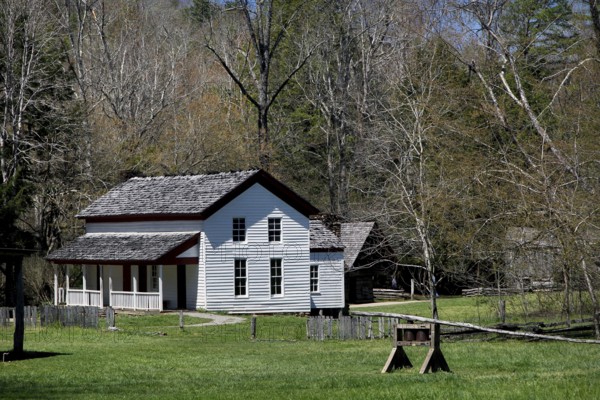 Historic log cabin in a meadow in spring light, Cades Cove, Great Smoky Mountains, USA