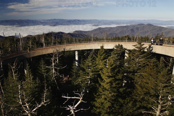 Observation deck with a wide view over the forested mountains, Chlingmans Dome, Great Smoky Mountains, USA