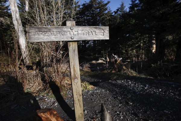 Guide along the Appalachian Trail in the Great Smoky Mountains Forest, Chlingmans Dome, Great Smoky Mountains, USA