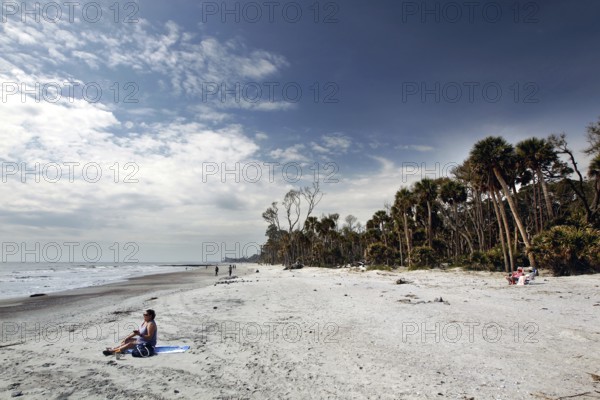 White sandy beach with palm trees under a wide sky, quiet scene, Hunting Island, South Carolina, USA