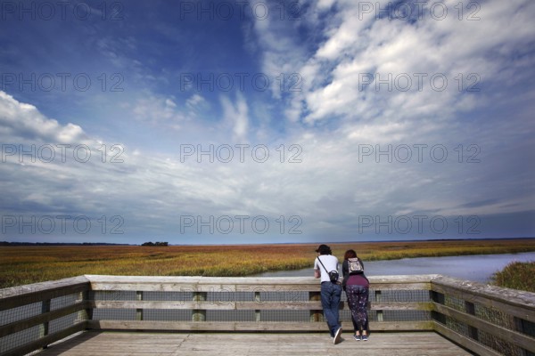 Visitors enjoy views of marshland from a jetty on Hunting Island, zero