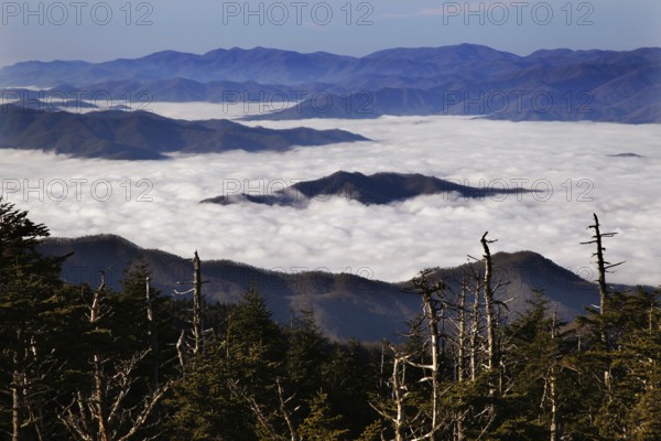 View of high fog over the Great Smoky Mountains from Chlingmans Dome, Chlingmans Dome, Great Smoky Mountains, USA