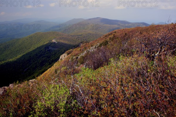View from the summit of Stony Man in Shenandoah National Park over wooded hills, Shenandoah National Park, Virginia, USA