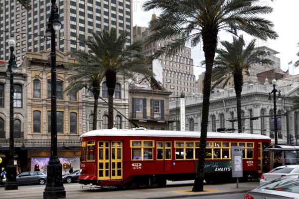 Red streetcar runs through a palm tree-lined street in the city center, New Orleans, Louisiana, USA