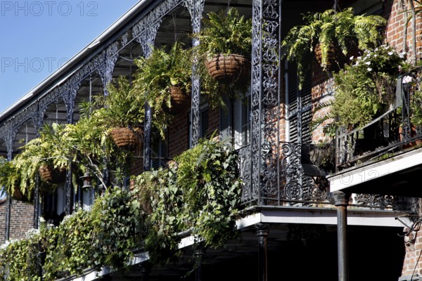 Lavishly planted balcony with intricate iron decorations in the French Quarter, New Orleans, Louisiana, USA