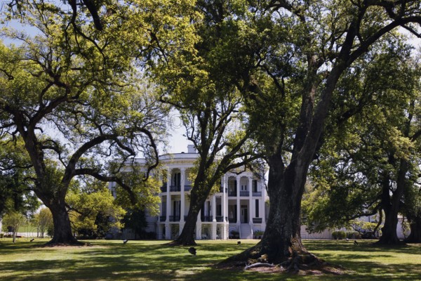 Nottoway Plantation mansion surrounded by mature trees and well-kept garden, zero