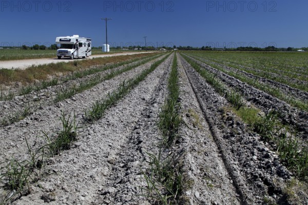 Wide field with motorhome under clear sky, Mississippi Valley, USA