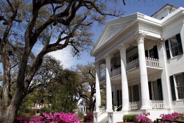 Elegant southern villa with pillars and blooming trees, Natchez, Mississippi, USA