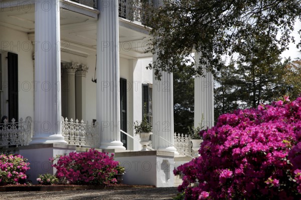 Manor house with elegant porch and blooming trees and flowers in the garden, Natchez, Mississippi, USA
