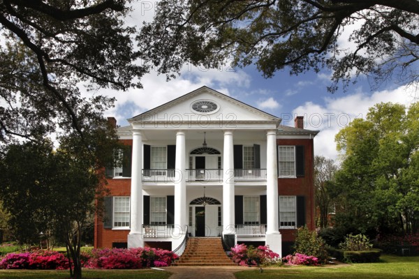 Large mansion with white pillars and well-kept garden, framed by mature trees, Natchez, Mississippi, USA
