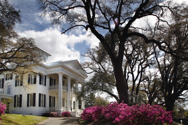 Impressive mansion with white pillars surrounded by blooming trees under a blue sky, Natchez, Mississippi, USA