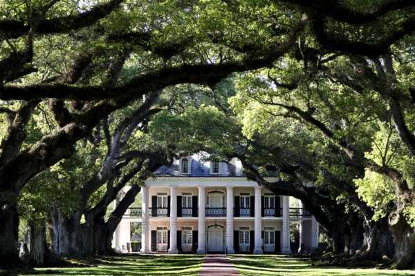 Oak Alley Plantation mansion with impressive oak alley, zero