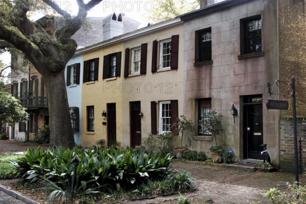 Rows of historic townhouses with diverse facades and rich greenery, Savannah, Georgia, USA