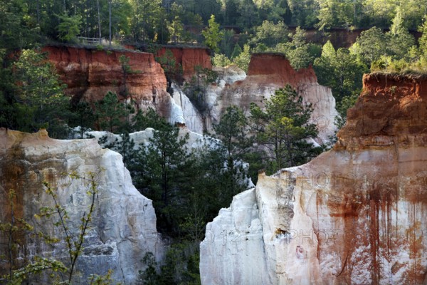 Dense vegetation around rock formations in Providence State Park, Providence Canyon State Park, Georgia, USA