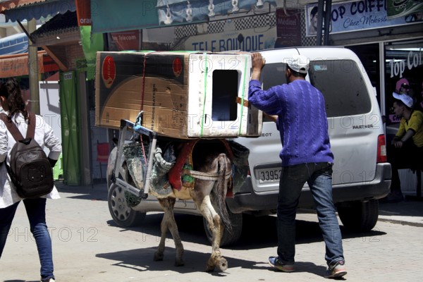 Street scene with a donkey carrying loads next to a van. People walk by while shops are in the background, Moulay Idris, Fès-Meknes, Morocco