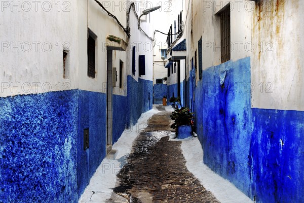 Narrow alley in the Kasbah of Oudaia with blue painted walls, Rabat, Morocco