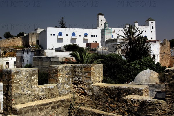 Portuguese fortress with white buildings and palm trees in the foreground, Safi, Marrakesh-Safi region, Morocco