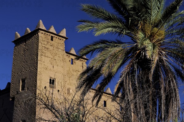 Kasbah Ait Abou Ali in Skoura with high walls and palm trees, against clear blue sky, Skoura, Drâa-Tafilalet region, Morocco
