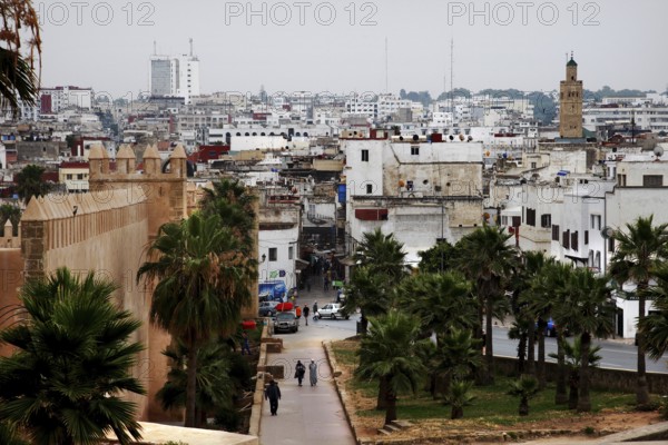 View of Rabat Medina with characteristic buildings and green areas, Rabat, Rabat-Salé-Kénitra, Morocco