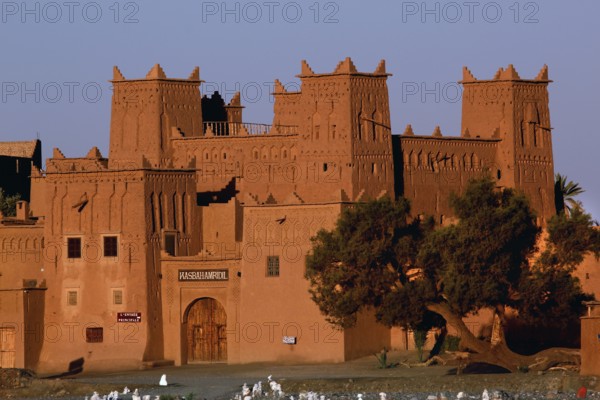 Kasbah Amerhidil in Skoura, surrounded by desert vegetation, showcases impressive traditional architecture, Skoura, Drâa-Tafilalet region, Morocco