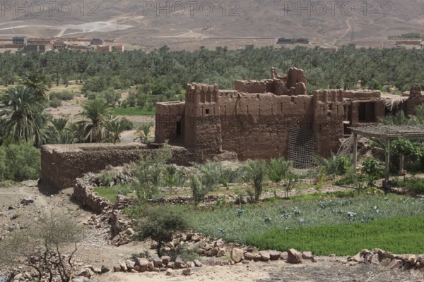 Kasbah in Tamnougalt surrounded by green palmery and desert landscape, Tamnougalt, Drâa-Tafilalet region, Morocco