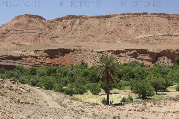 Desert landscape of Tamdakth with rocky hills and green oases, Tamdakht, Drâa-Tafilalet region, Morocco