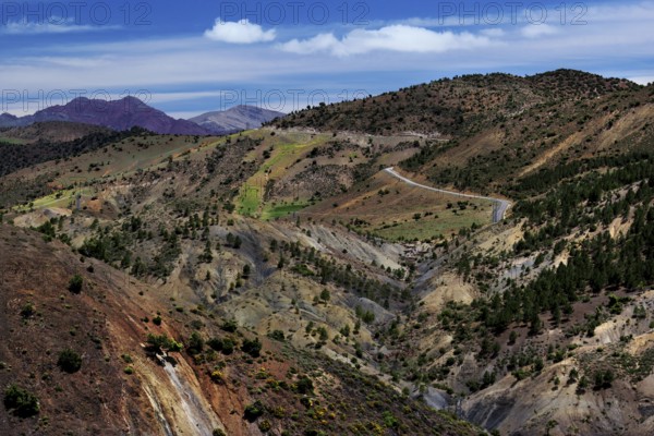 Serpentine road through the mountainous landscape of the High Atlas Mountains, surrounded by vegetation and impressive mountain peaks, Ouarzazate, High Atlas, Morocco