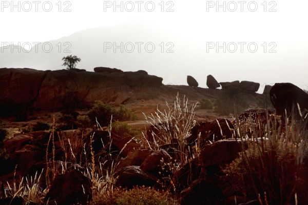 Tafraoute shows rock formations and barren landscape with lonely tree, Tafraoute, Souss-Massa region, Morocco