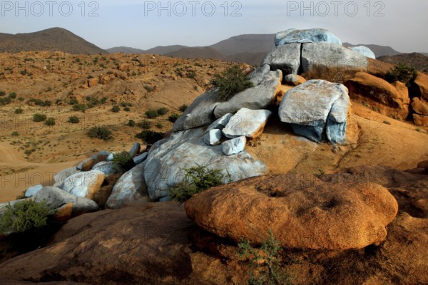 Color accents on the sparsely vegetated hills of the desert around Tafraoute, Tafraoute, Souss-Massa, Morocco