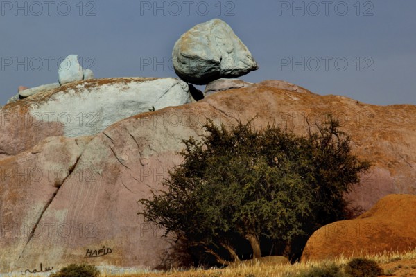 Large rock with painted areas and tree, work by Jean Verame in Tafraoute, Tafraoute, Souss-Massa, Morocco