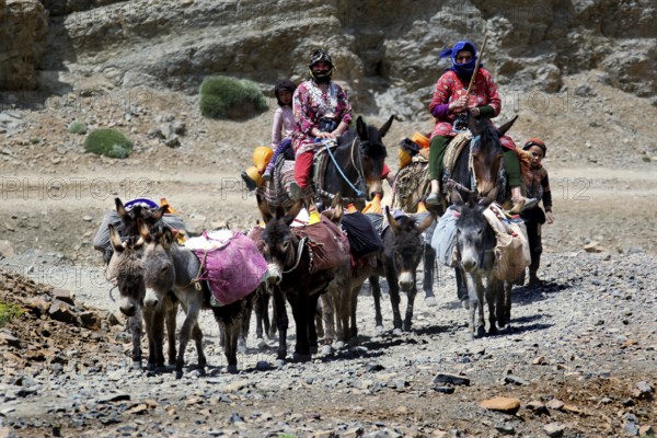 Nomads with loaded donkeys in a rocky landscape on a travel route, Tizgui n'Ouadda, Morocco
