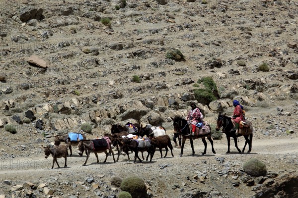 Nomadic group with loaded donkeys on a rocky path in mountainous surroundings, Tizgui n'Ouadda, Morocco
